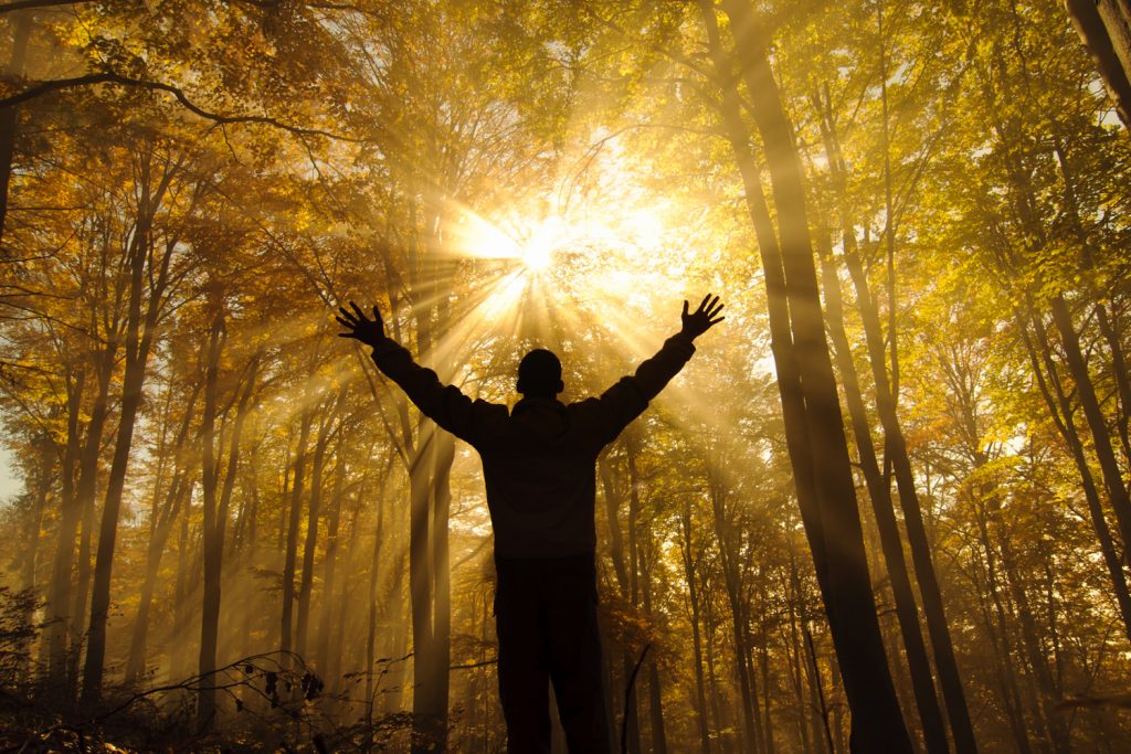 Porn Addiction Treatment & Recovery