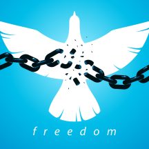 Difference Between Sobriety and Freedom