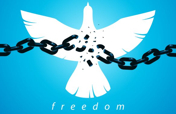 Difference Between Sobriety and Freedom